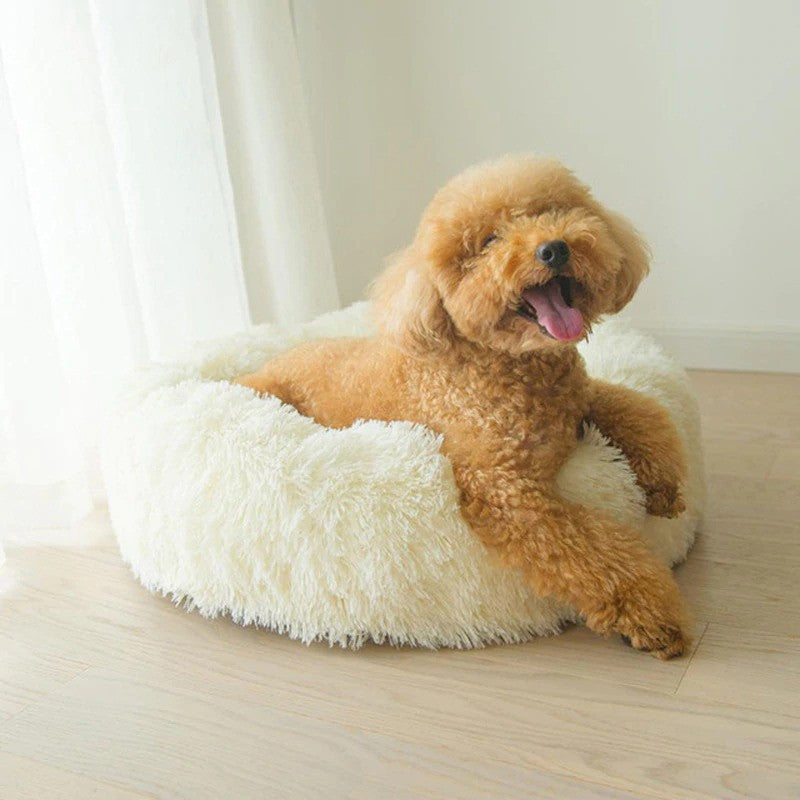 Cama de descanso para perros y gatos - imagen 10