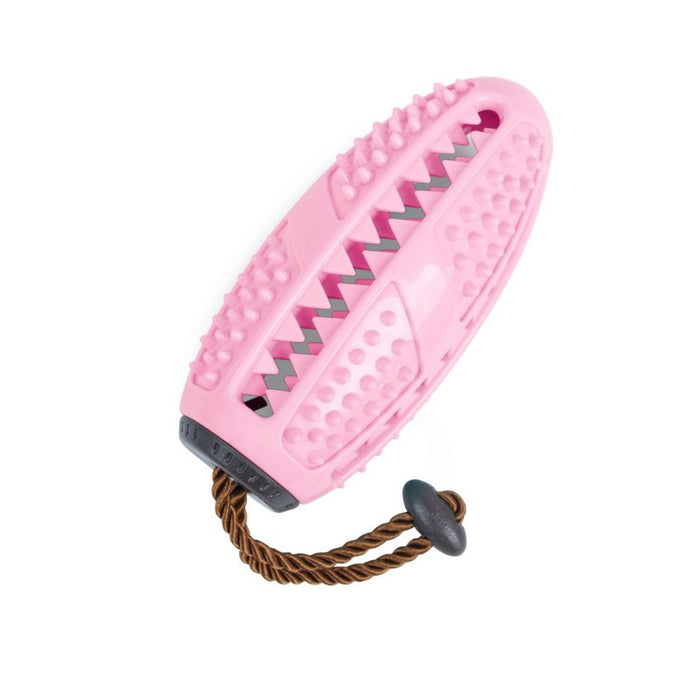 Juguete dental para perros