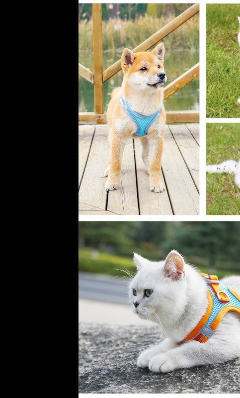 Arnés para gatos con correa, vista 2