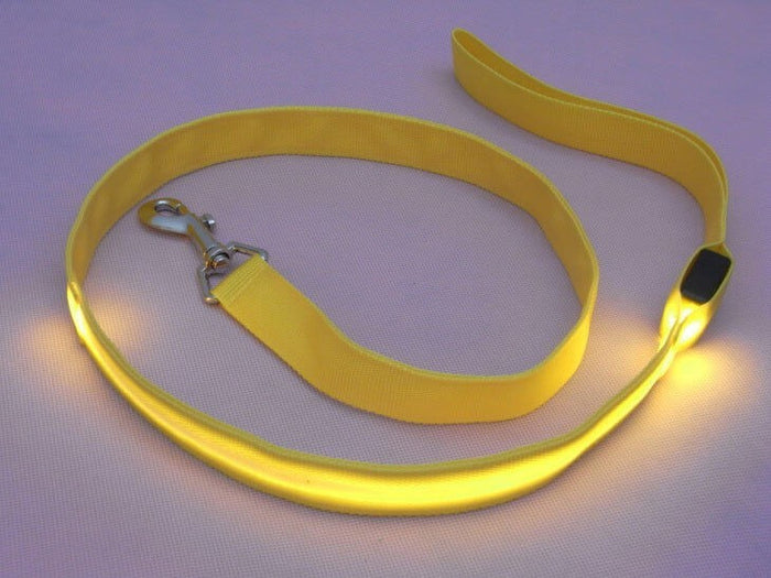 Correa luminosa para perros