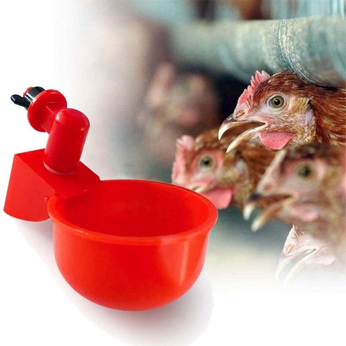 Set de bebedero para aves de corral