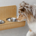 Comedero portatil impermeable suave de plastico rojo para perros - imagen 1