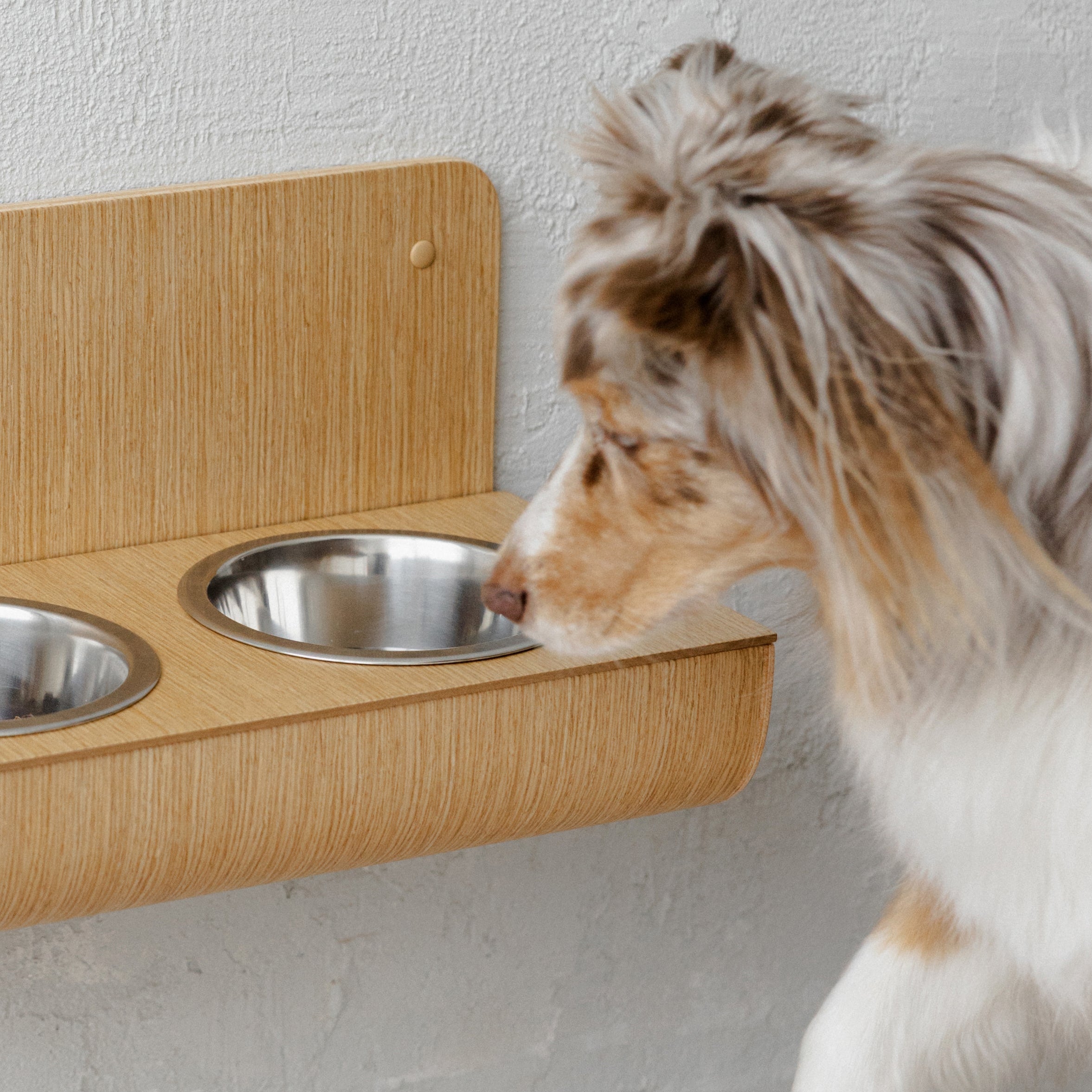 Comedero portatil impermeable suave de plastico rojo para perros - imagen 1
