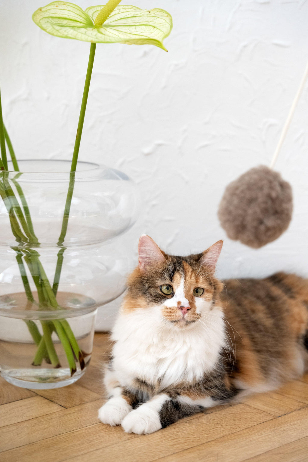 Natural piel di oveja gatto Toy: Ball