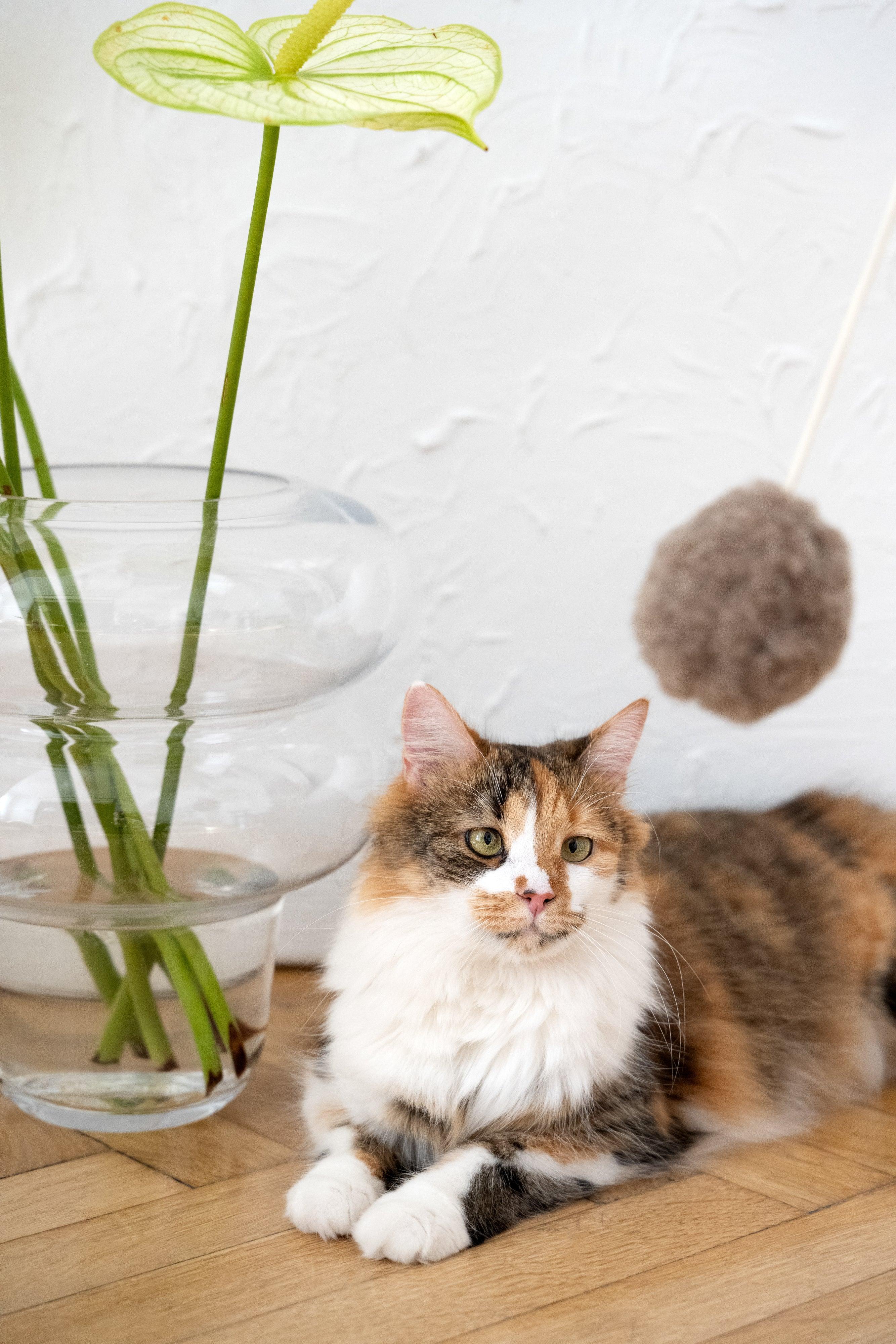 Natural lana gatto Toy: Ball