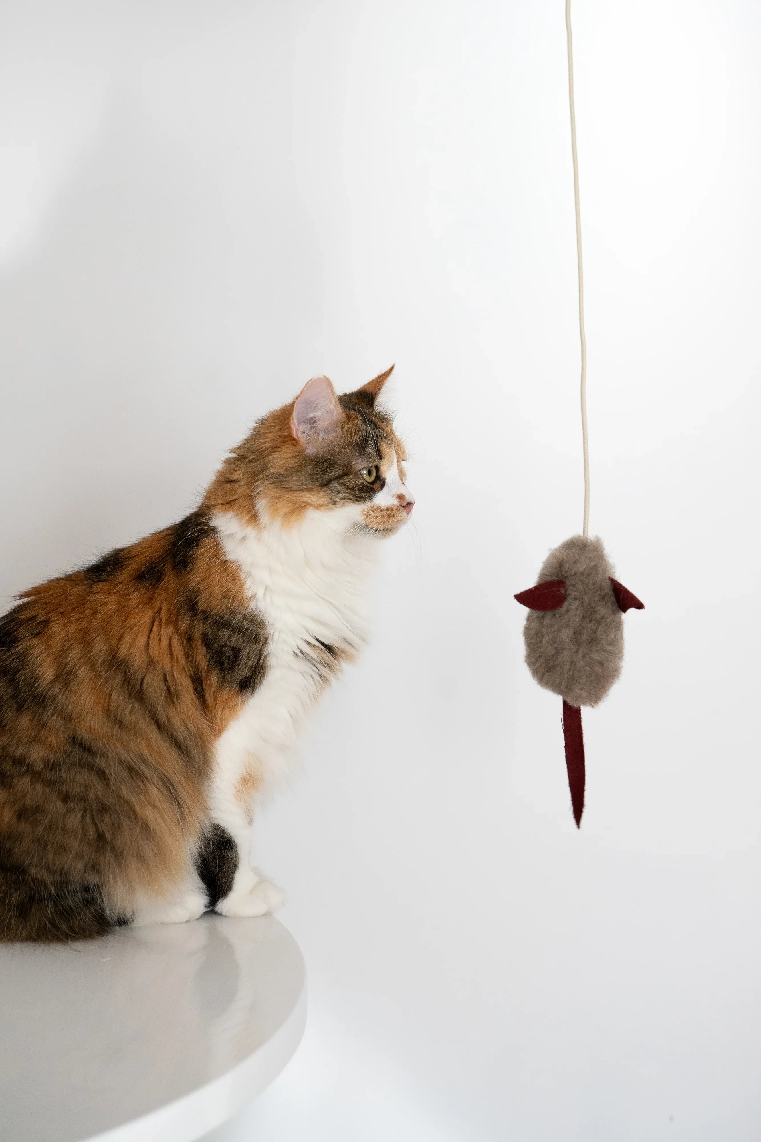 Natural lana gatto Toy: Mouse