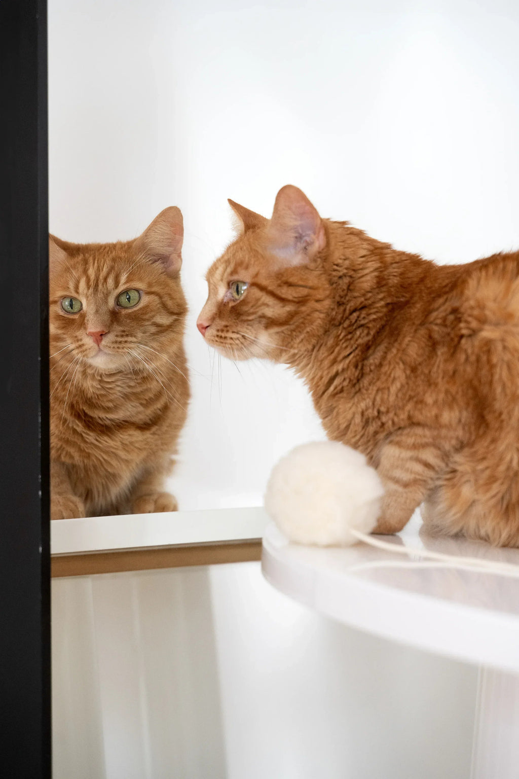Natural piel di oveja gatto Toy: Ball
