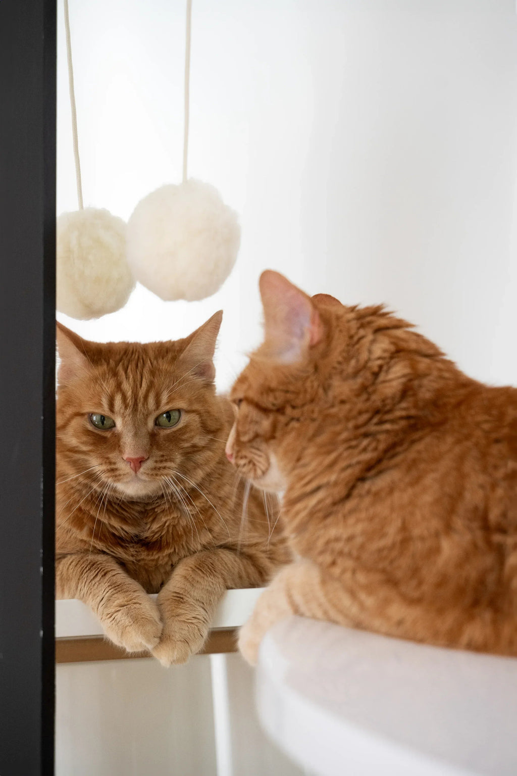 Natural piel di oveja gatto Toy: Ball
