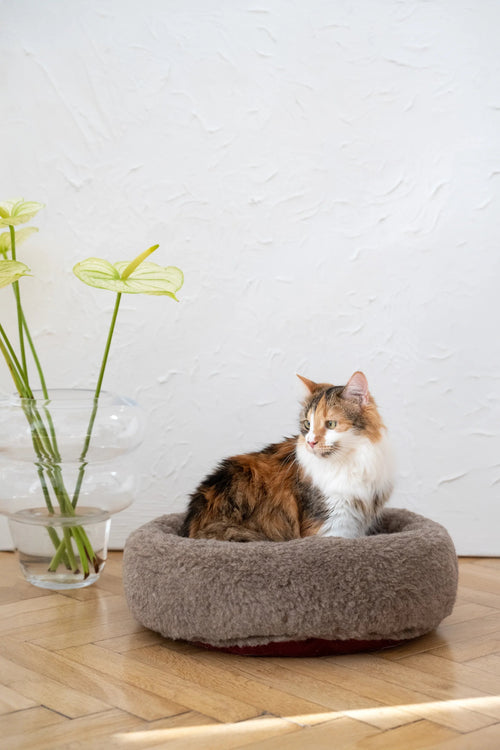 Bett redonda aus natürliche Wolle für Haustiere - beige