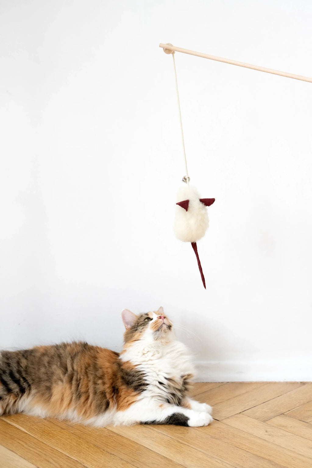 Interaktives Spielzeug weich de metal negro fuer Katzen - Bild 2