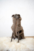 Lana cane Vest - beige