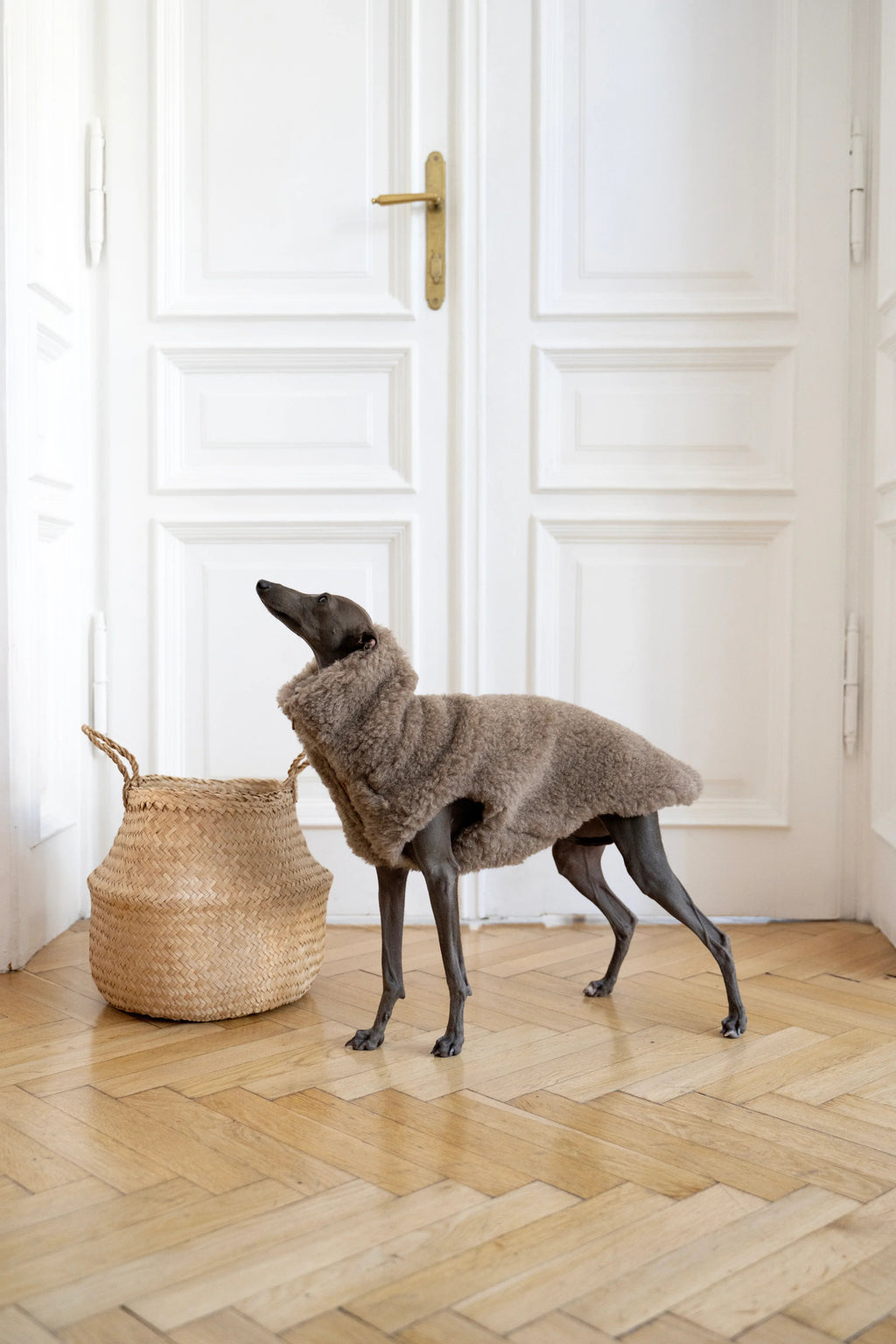 Lana cane Vest - beige