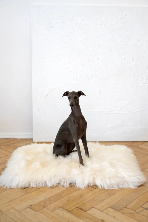 Tappeto natural di piel di oveja per animali cuadrada o rectangular - bianco