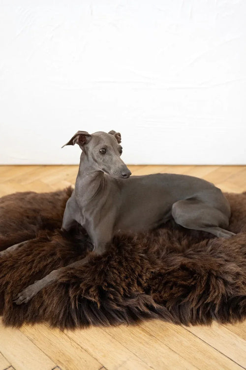 Tappeto natural di piel di oveja per animali cuadrada o rectangular - marron
