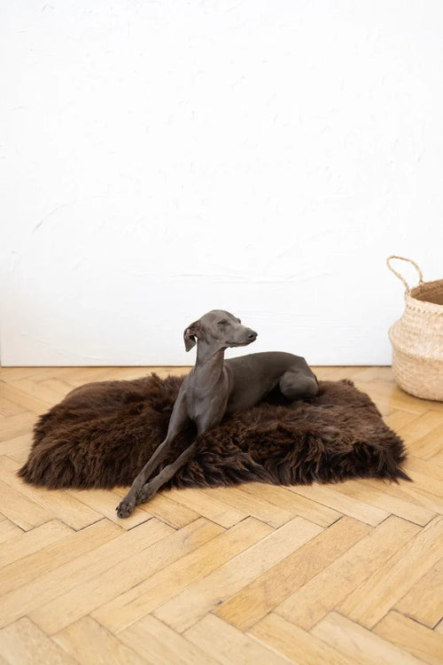 Tappeto natural di piel di oveja per animali cuadrada o rectangular - marron