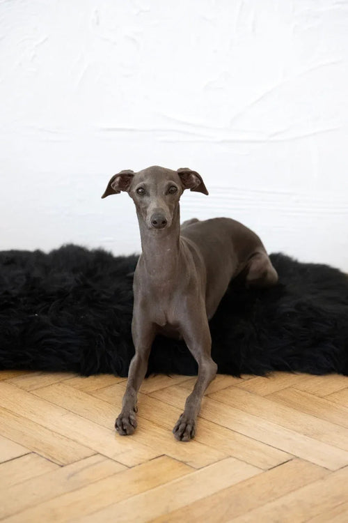 Tappeto natural di piel di oveja per animali cuadrada o rectangular - nero