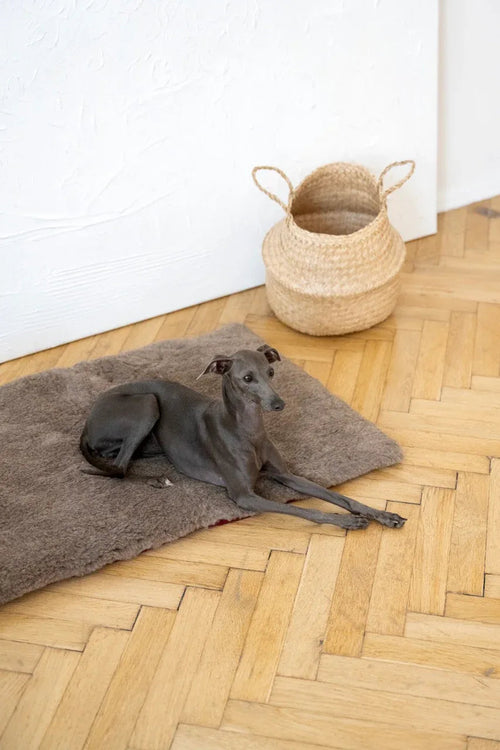 Tappeto natural di lana per animali cuadrada o rectangular - beige