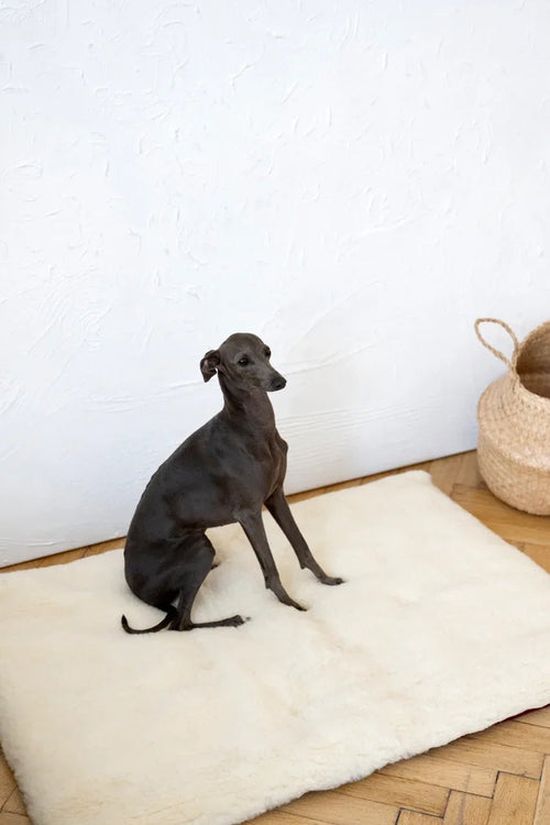 Tappeto natural di lana per animali cuadrada o rectangular - bianco