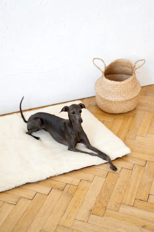 Tappeto natural di lana per animali cuadrada o rectangular - bianco