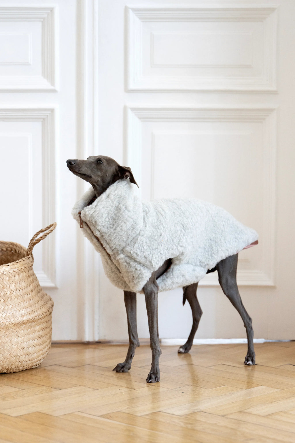 Lana cane Vest - Light grigio