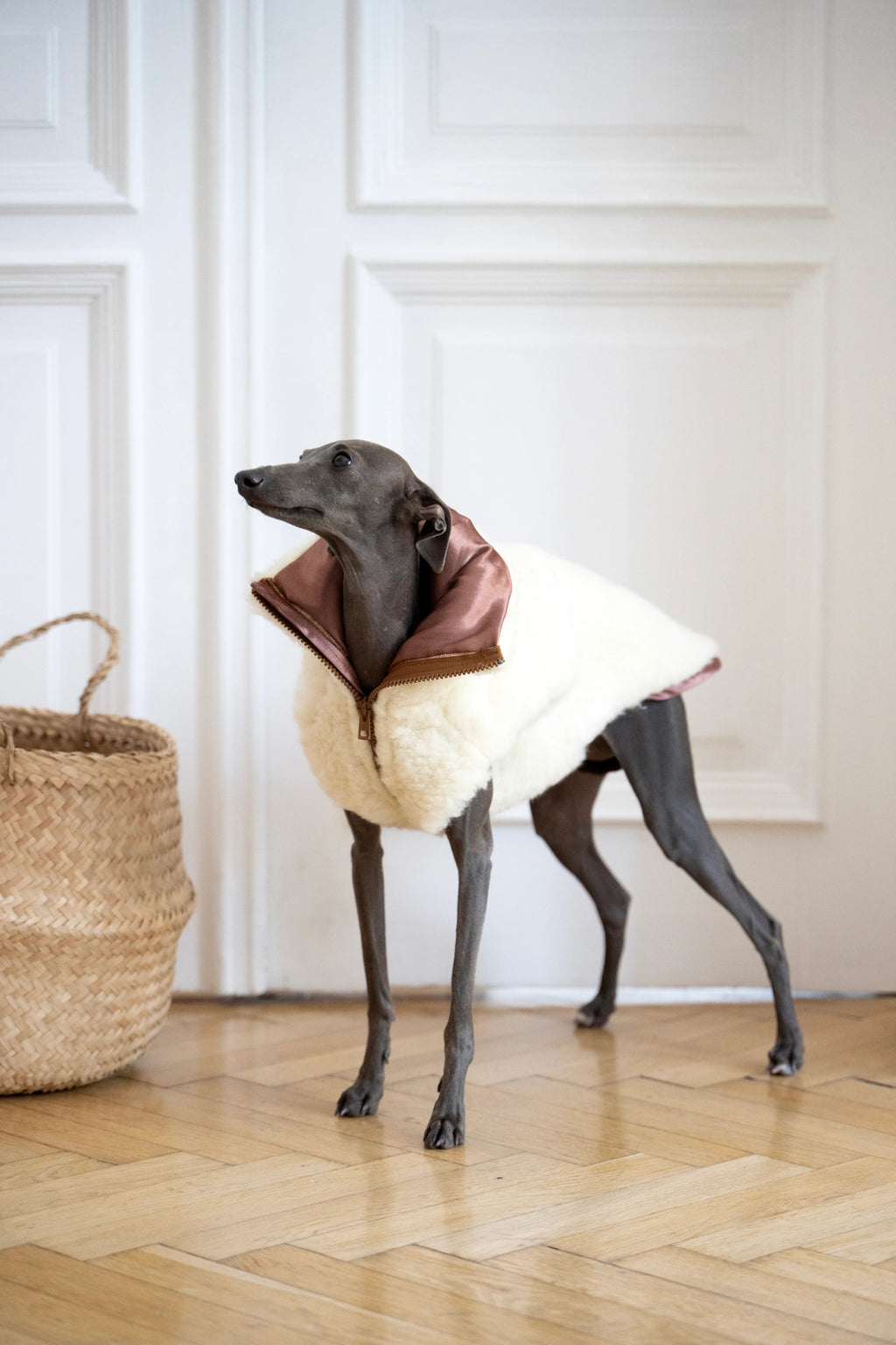 Lana cane Vest - bianco