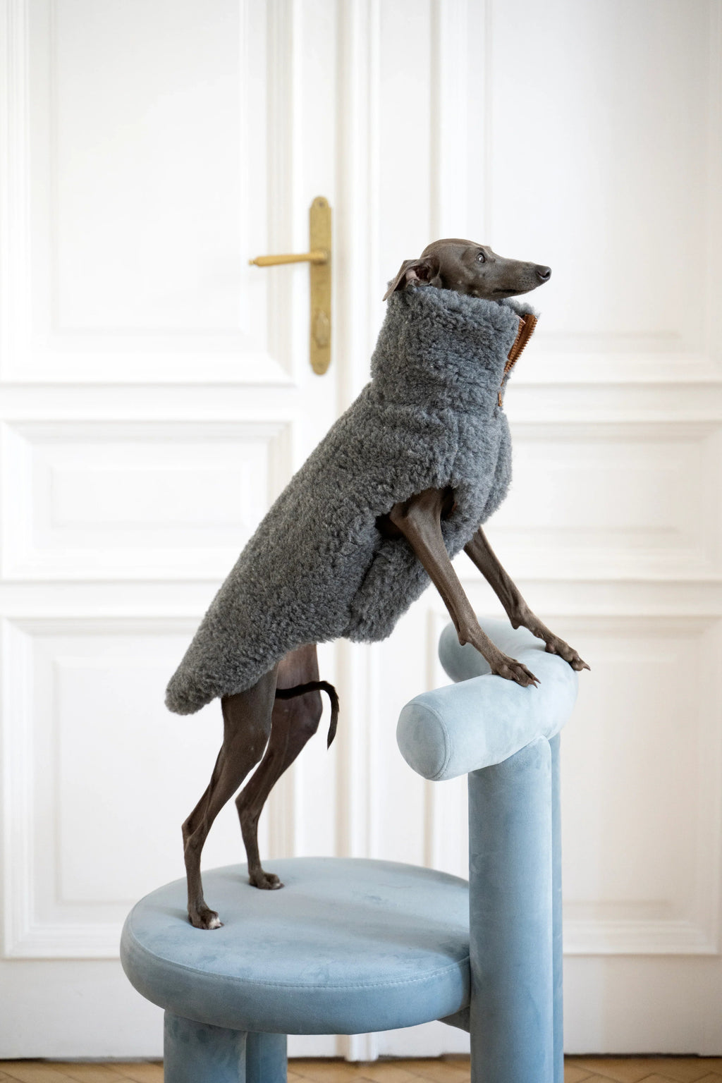 Lana cane Vest - Dark grigio