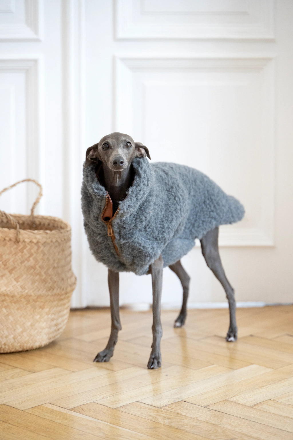Lana cane Vest - Dark grigio