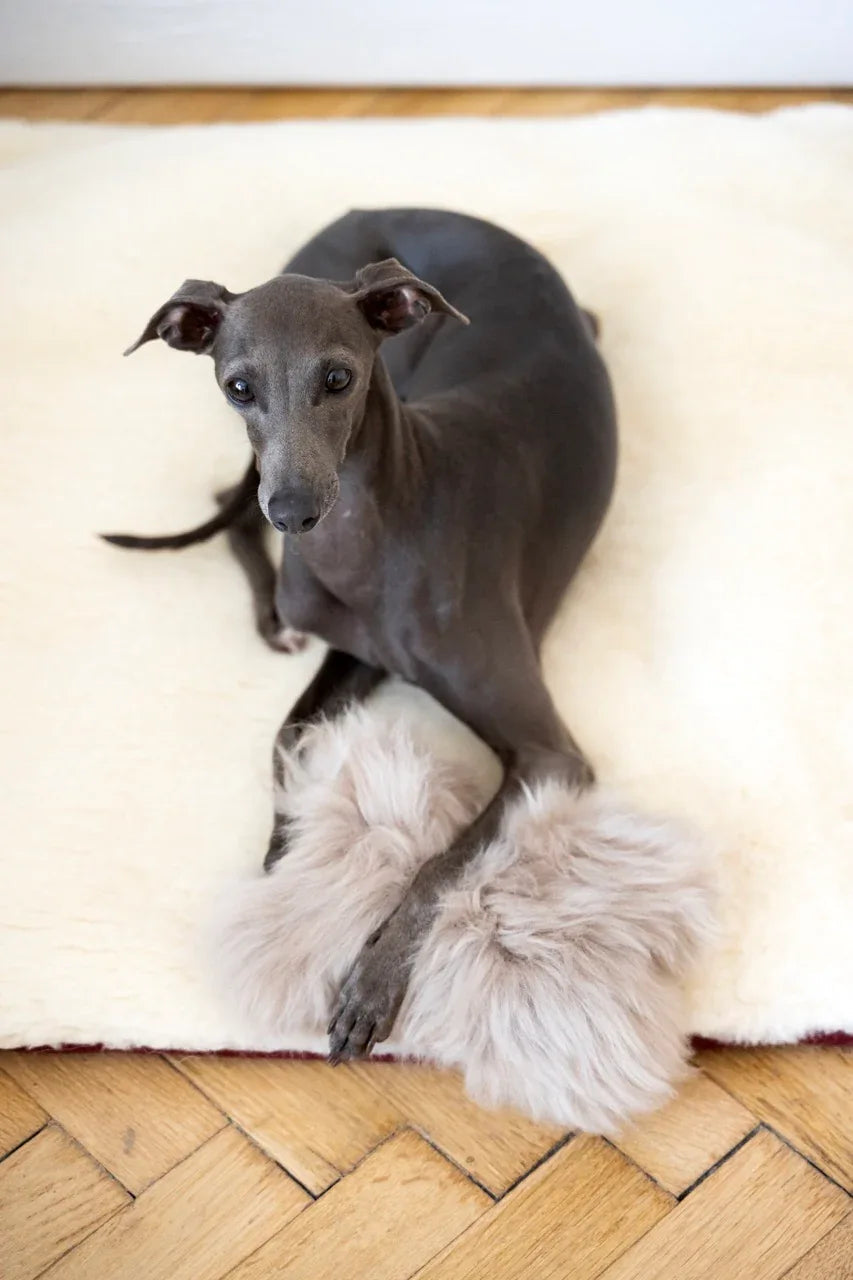 Natural piel di oveja cane Toy - Bone - beige
