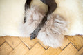 Natural piel di oveja cane Toy - Bone - beige