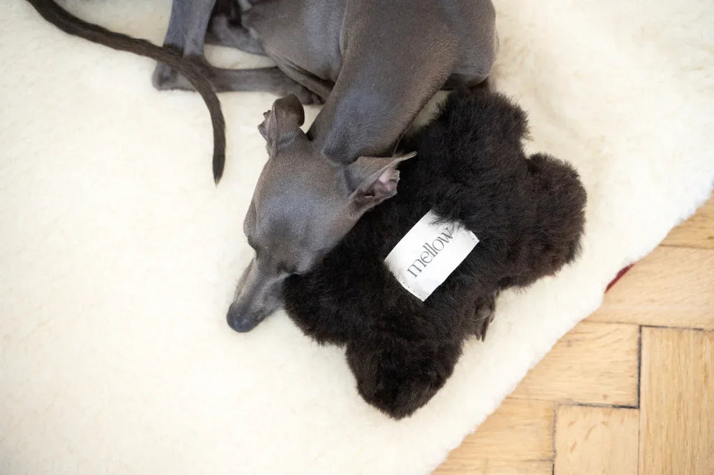 Jouet interactif doux de metal negro pour chiens - image 3