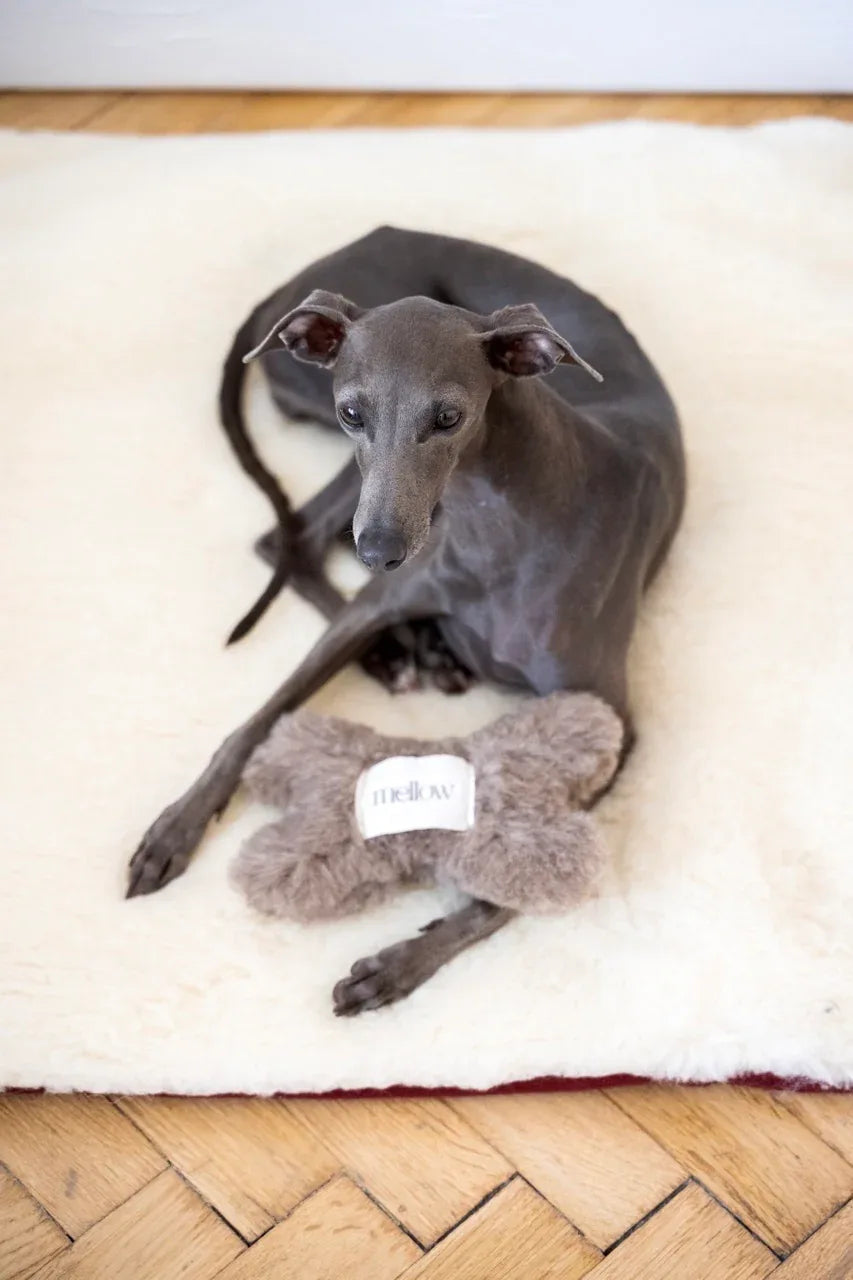 Juguete hueso di lana naturale per cane grigio carbón