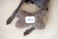Natural lana cane Toy - Bone - beige