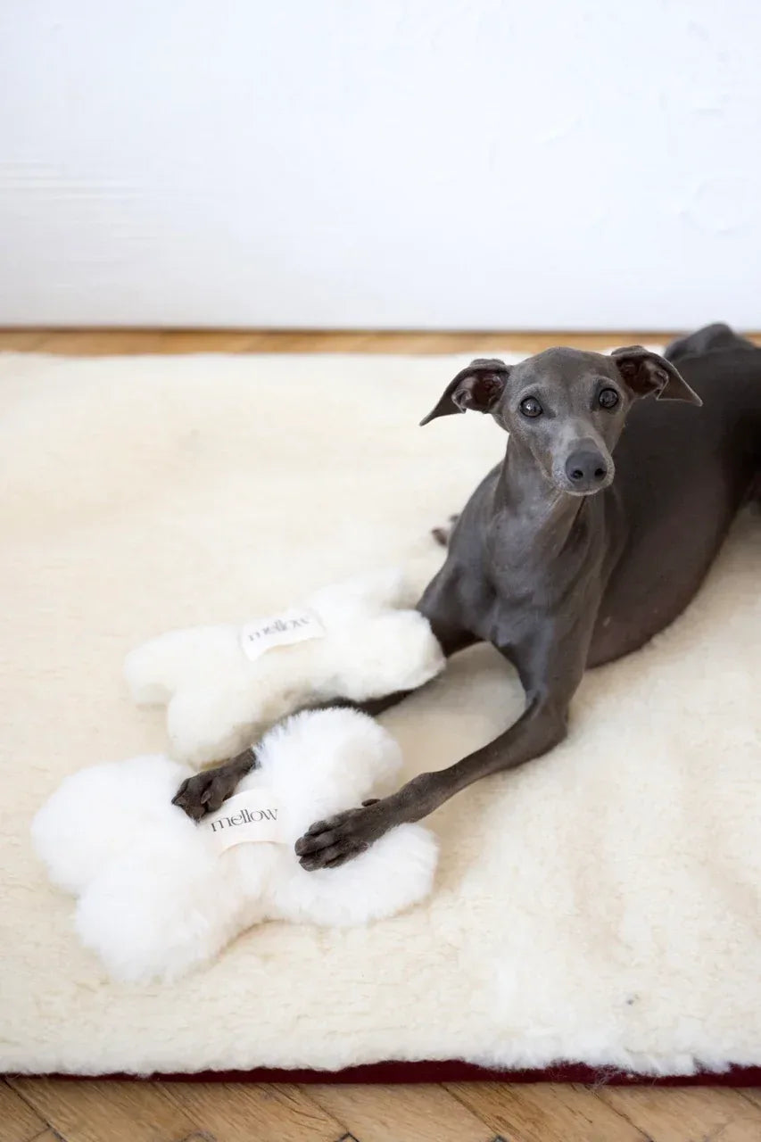 Natural piel di oveja cane Toy - Bone - beige