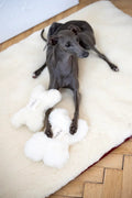 Natural lana cane Toy - Bone - bianco