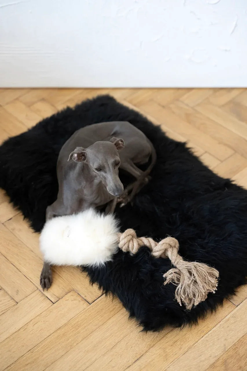 Natural piel di oveja cane Tug Toy - bianco