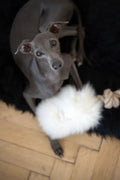 Natural piel di oveja cane Tug Toy - bianco