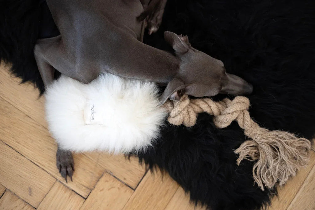 Natural piel di oveja cane Tug Toy - bianco