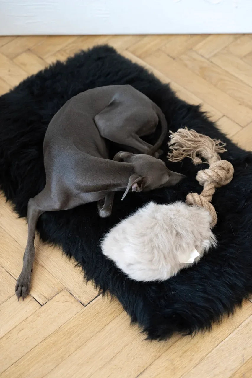 Natural piel di oveja cane Tug Toy - beige