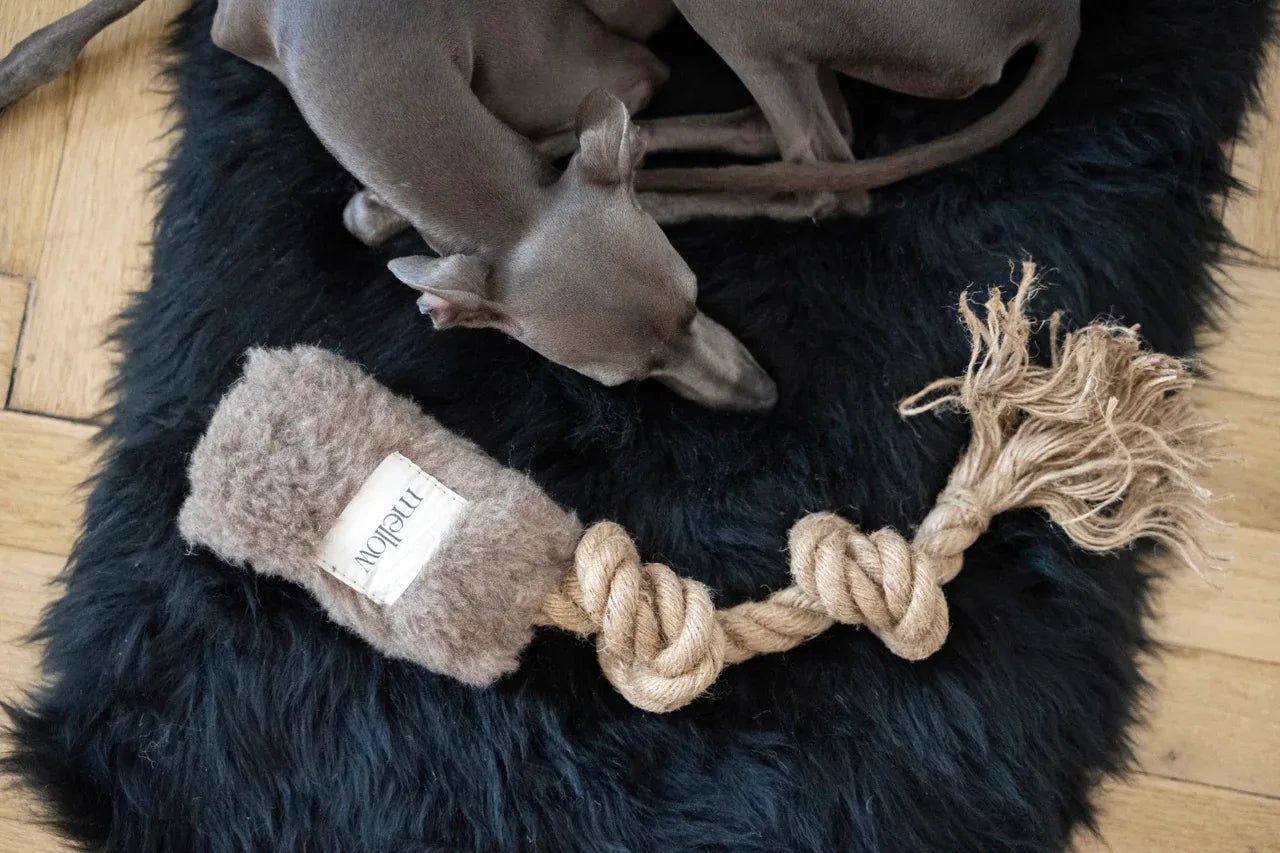 Natural lana cane Tug Toy - beige