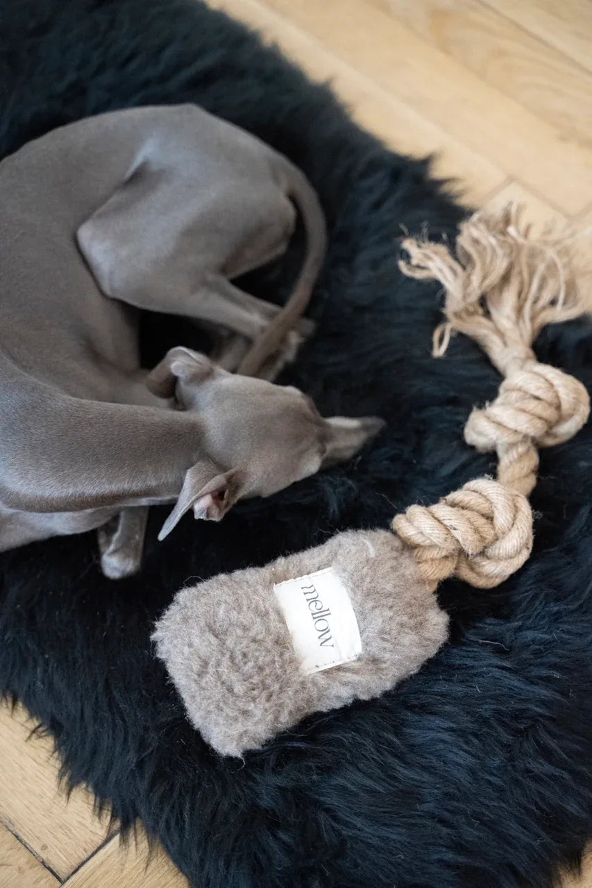 Natural lana cane Tug Toy - beige