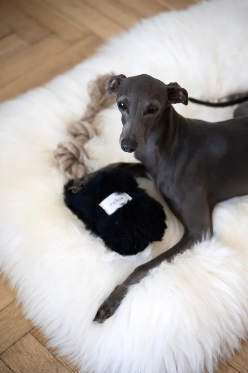 Natural piel di oveja cane Tug Toy - nero