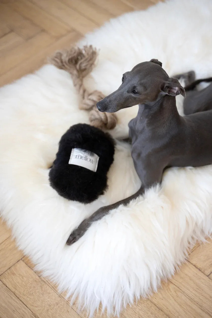 Natural piel di oveja cane Tug Toy - nero