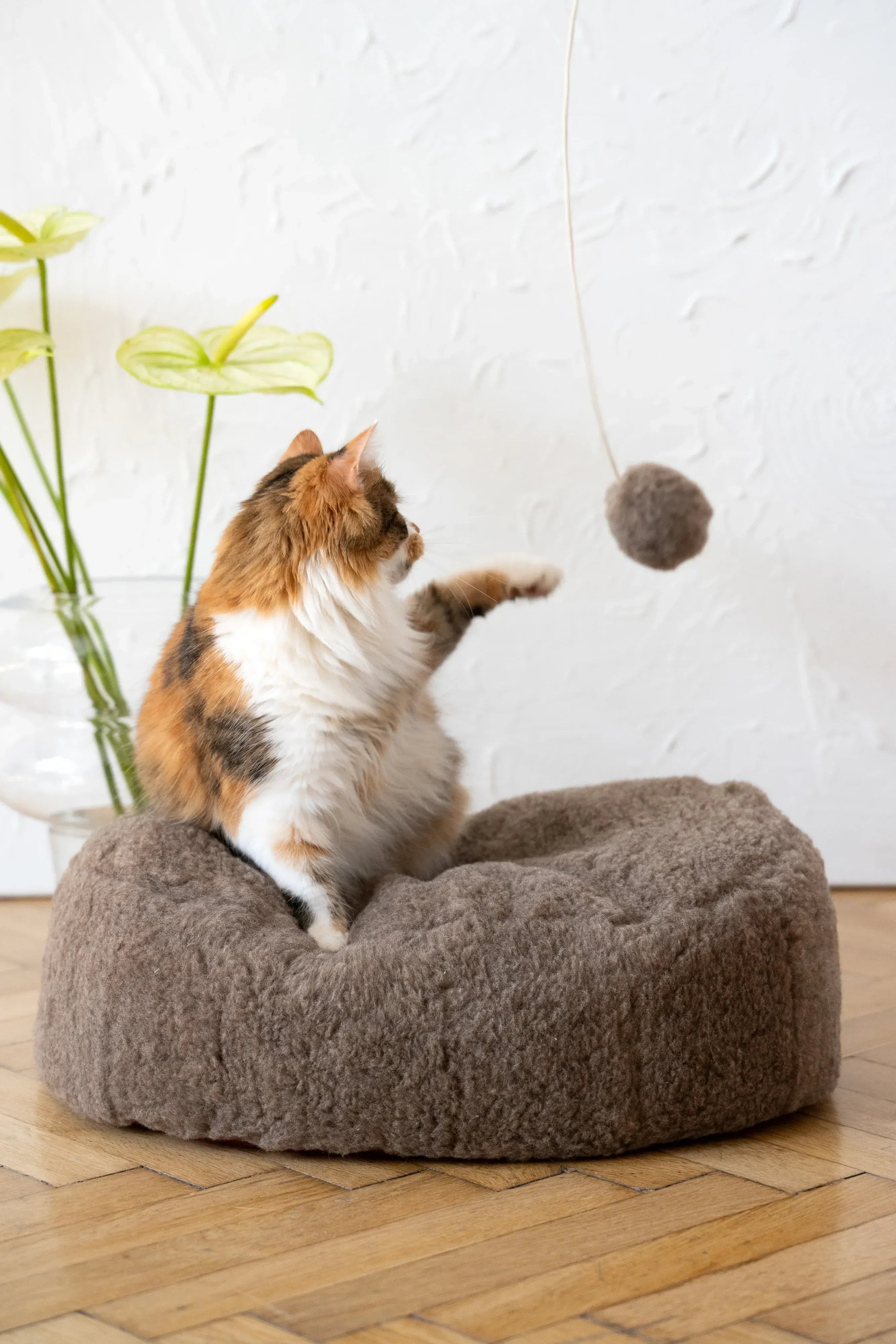 Natural piel di oveja gatto Toy: Ball
