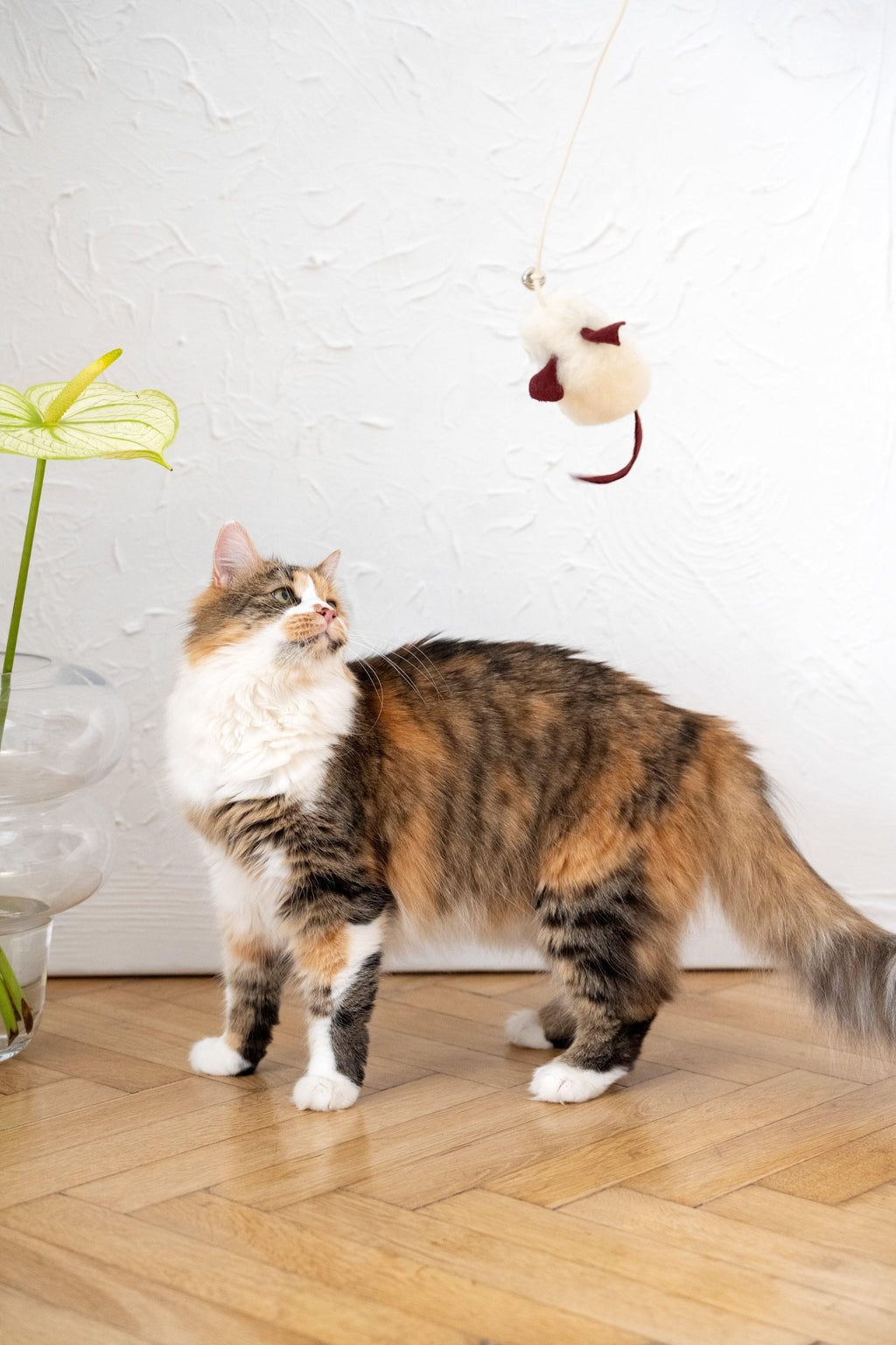 Natural lana gatto Toy: Mouse