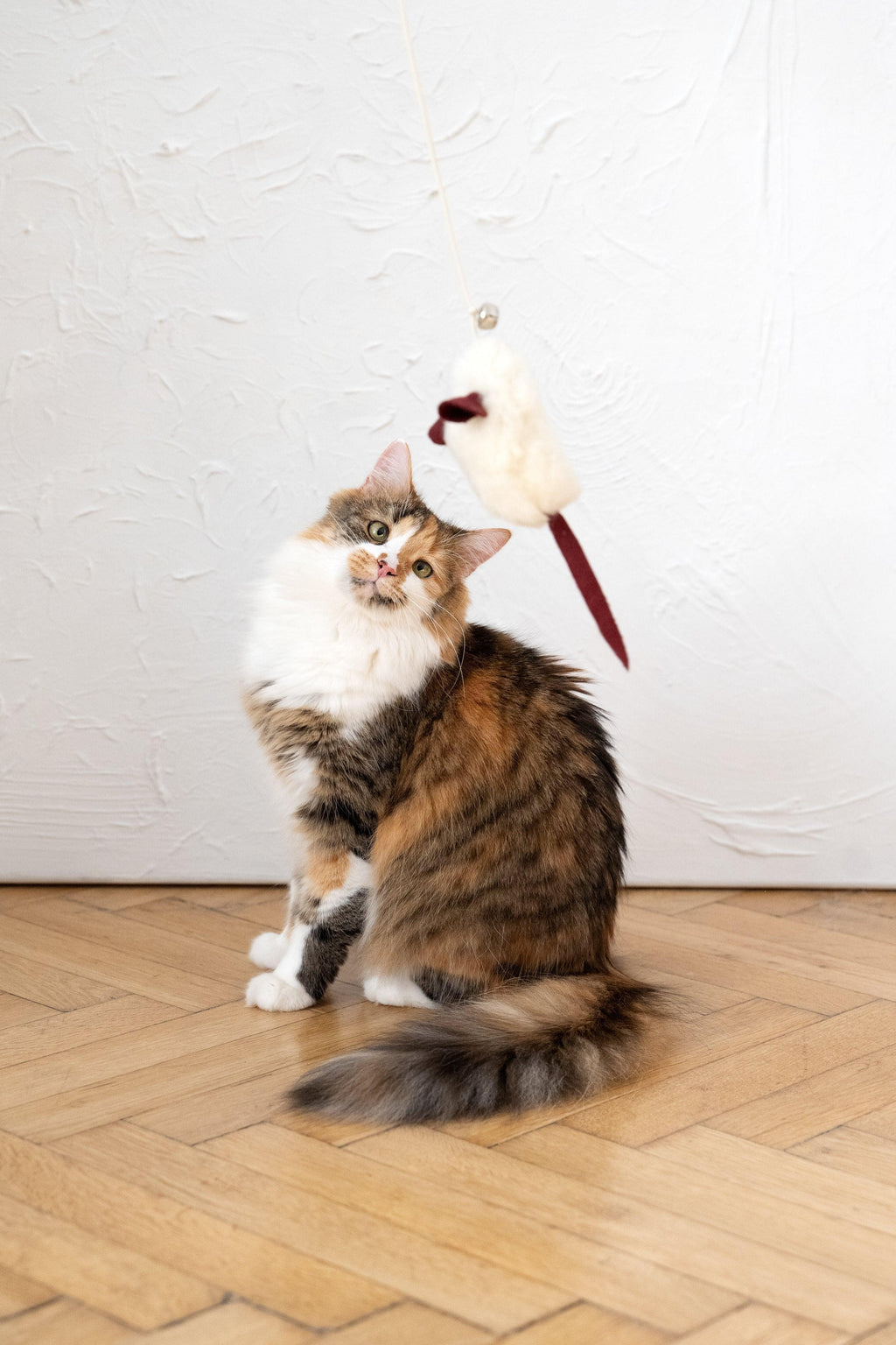 Natural lana gatto Toy: Mouse