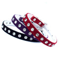 Adjustable collar negro for dogs - image 1