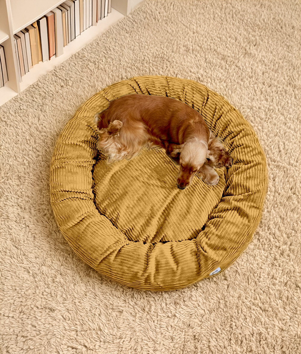 Cama Perro Pana Mostaza, Nuba-1