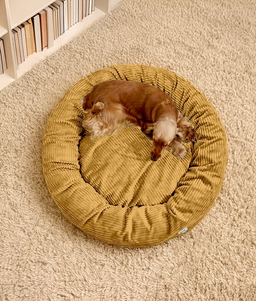 Cama Perro Pana Mostaza, Nuba-1