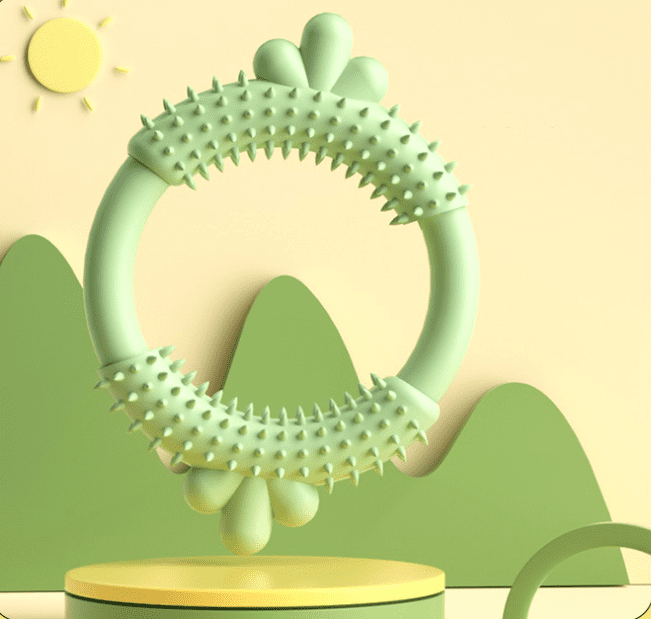 Personalized and Stylish Chew Toys-3