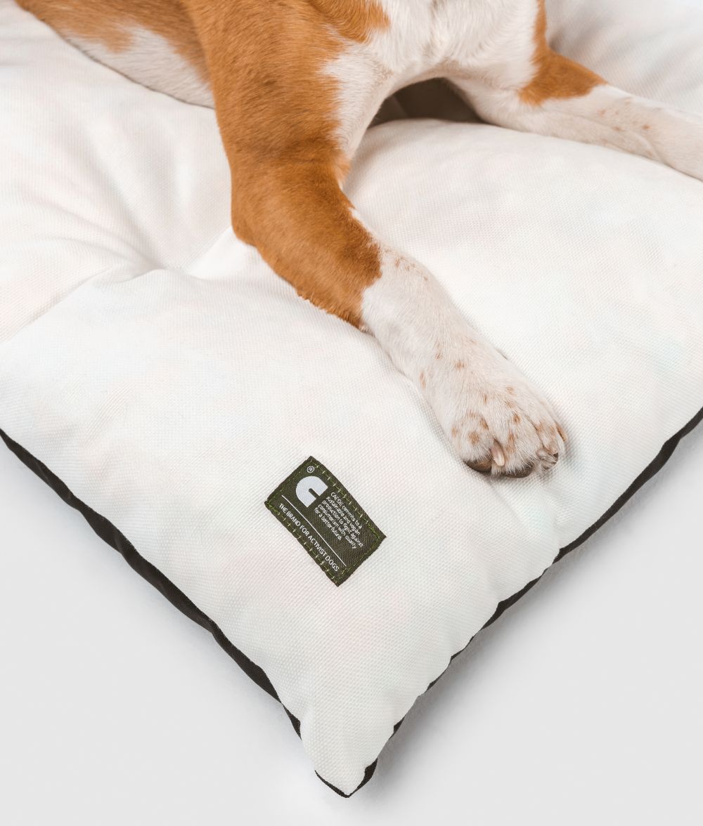 Cojín Perro Blanco para Interior y Exterior, Bela-1
